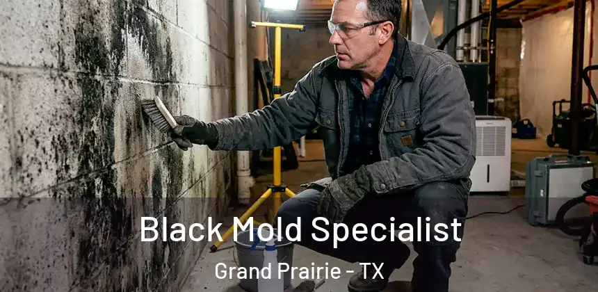 Black Mold Specialist Grand Prairie - TX