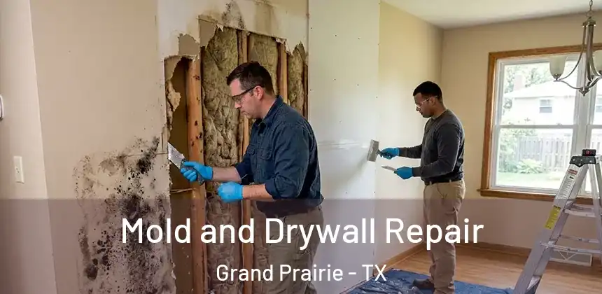  Mold and Drywall Repair Grand Prairie - TX