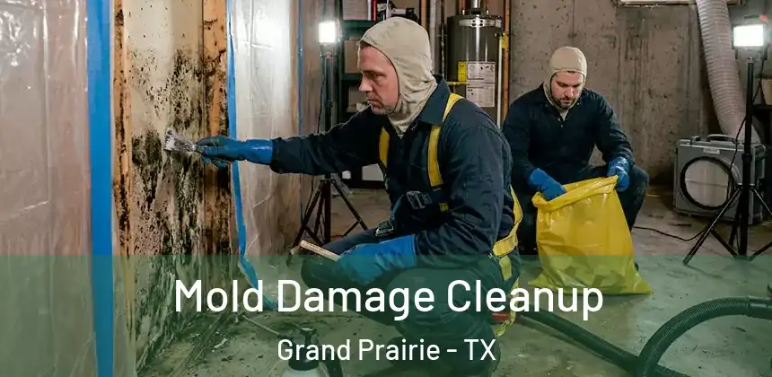  Mold Damage Cleanup Grand Prairie - TX