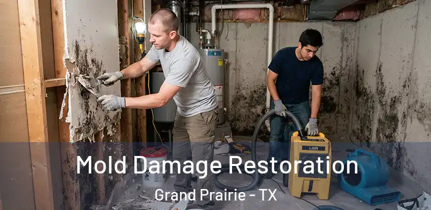  Mold Damage Restoration Grand Prairie - TX