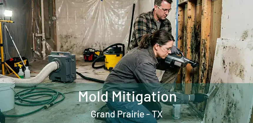 Mold Mitigation Grand Prairie - TX
