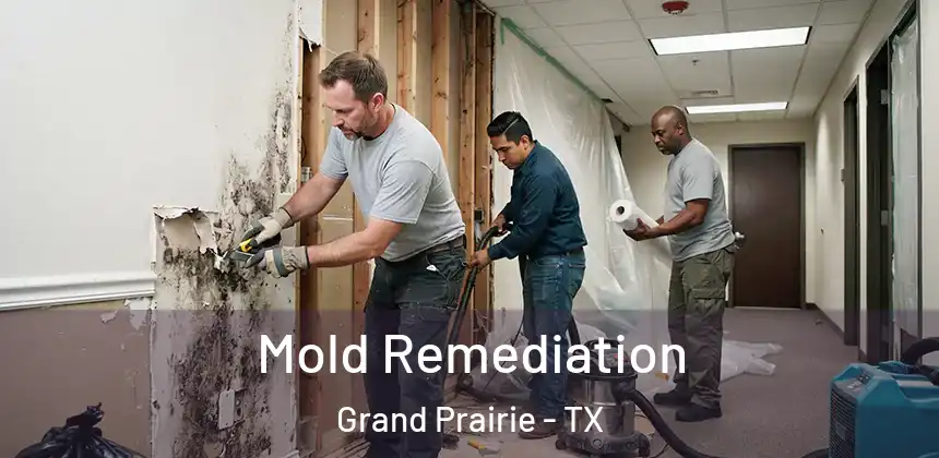 Mold Remediation Grand Prairie - TX