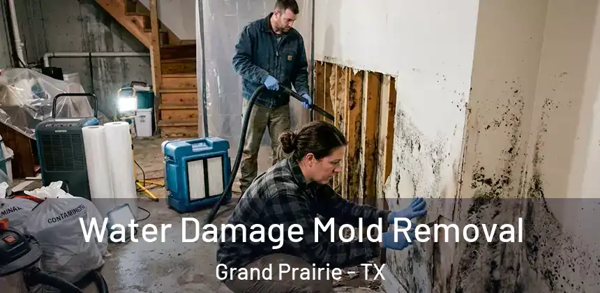 Water Damage Mold Removal Grand Prairie - TX